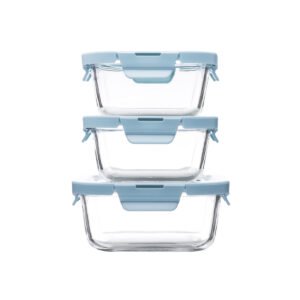 Deliware DSJ Glass Food Container